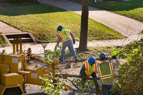 Lawn Irrigation Installation and Maintenance in Bigfoot, TX